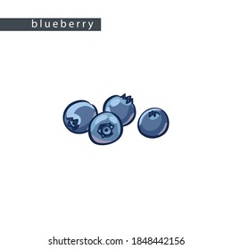 sketch blue blueberries: four berries