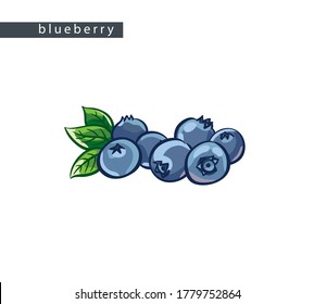 sketch blue blueberries: seven berries with leaves