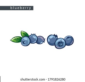 sketch blue blueberries: six berries and two leaves