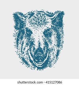 Sketch boar. Hand drawn vector illustration