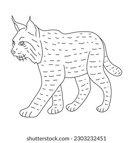 Sketch of Bobcat drawn by hand. Vector hand drawn illustration.