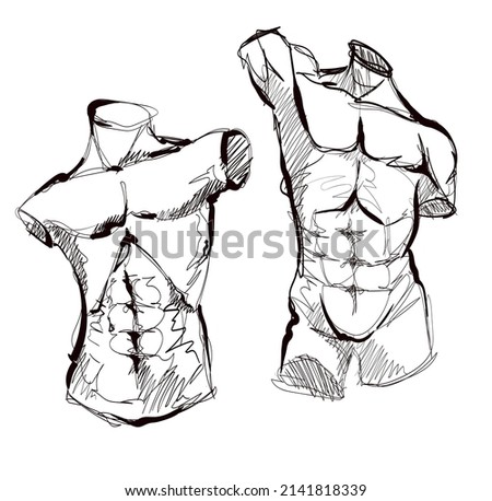 Sketch. Bodybuilding And Powerlifting. Vector Torso of the statue.