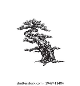 Sketch Bonsai tree. Japanese pine. Hand-drawn pine tree on a white background. Isolated Japanese spruce. Stock vector illustration.