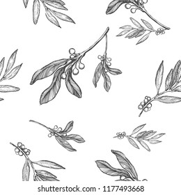 Sketch botanical seamless with hand drawn olive branch in vintage style. Vector illustration isolated on white.