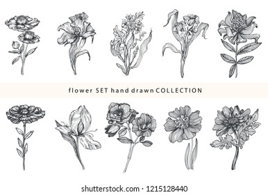 Sketch botanical set with high quality hand drawn flowers, branch,leaves and overs botanical elements in vintage style. Vector illustration isolated on white background .