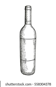 Esboza una botella de vino. ilustración vectorial