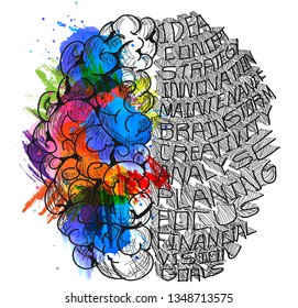 Sketch brain  Business plan  data  text various. - Background Colorful watercolor stains collection- Vector 