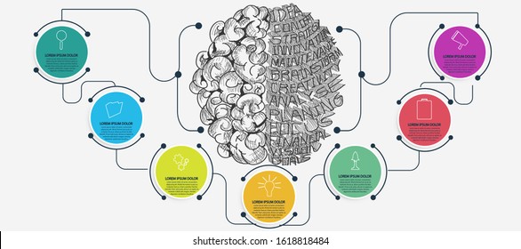 Sketch brain  Business plan  data  text various - infographic, steps, line ,style,Vector.