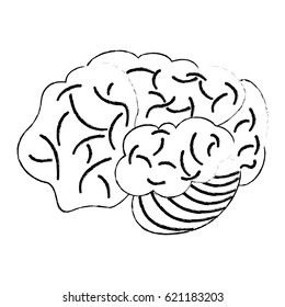 sketch brain human development idea