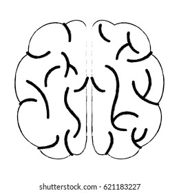 sketch brain human knowledge process