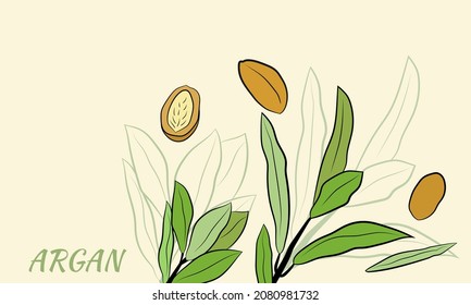 Sketch of branch argania  with fruits. Hand-drawn illustration. Branch of argan with nuts. Cosmetic and medical plant. Set of argania tree.