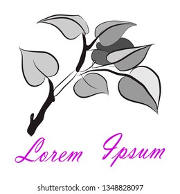 Sketch branch of leaves by hand. Abstract monochrome illustration. Vector hand drawing. Tree or shrub branch isolated. Nature concept for website, branding, logo, label on white background. Copyspace