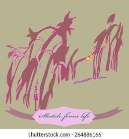 Sketch of branches motif,plant, leaves, label. Hand drawn.Sketch from life.