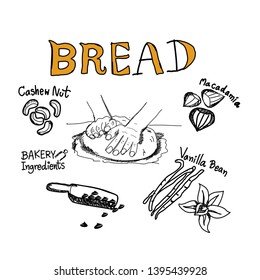 Sketch bread ingredients and hand thresh flour vector