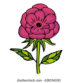 Sketch of bright pink Peony flower with black thin line contour isolated on white background. Vector illustration.