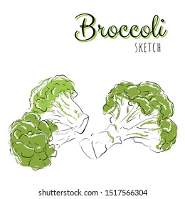 Sketch with broccoli. Vector paint hand drawn composition with cabbage in cartoon style. Isolated on white background.