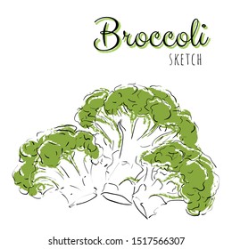 Sketch with broccoli. Vector paint hand drawn composition with cabbage in cartoon style. Isolated on white background.