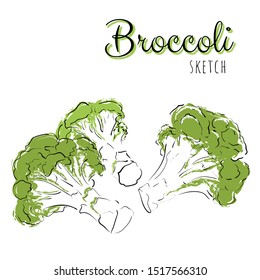 Sketch with broccoli. Vector paint hand drawn composition with cabbage in cartoon style. Isolated on white background.