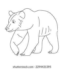 Sketch of Brown bear. Hand drawn vector illustration.