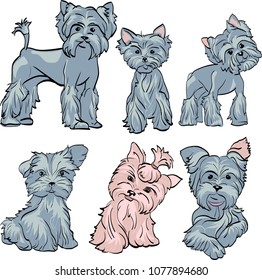 The sketch brush is made in vector. Drawn small dogs breed Yorkshire Terrier breed. Dogs with different emotions on a transparent background