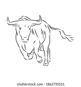 Sketch Bull. Ilustración dibujada a mano vectorial. Vista lateral. ilustración de esbozo vectorial de toro