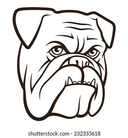 Sketch of a bulldog head, isolated on white