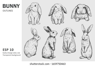 Sketch Of Bunny. Hand Drawn Outline Converted To Vector