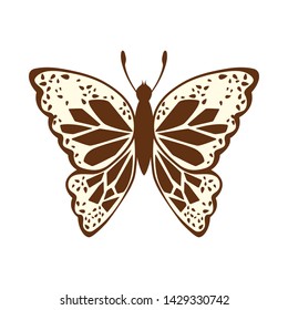 Sketch of Butterfly. Brown Line Color Design.  Vector Illustration.