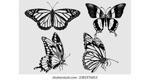 Sketch of a butterfly fluttering on a white background. Vector illustration.