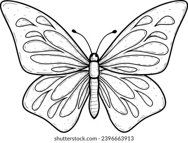 sketch butterfly insect animal on white