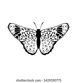 Sketch of Butterfly. Outline Design.  Vector Illustration.