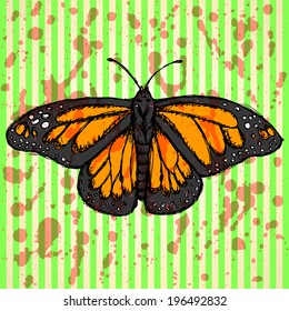 Sketch butterfly, vector vintage background eps 10
