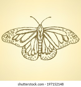 Sketch butterfly, vector vintage background eps 10