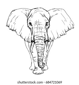 Elephant Outline Drawing ll #forest_animal part-5 - YouTube