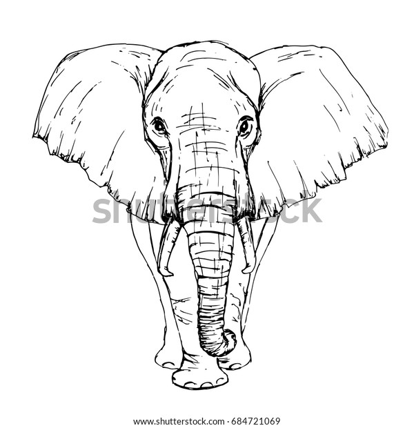 Dibujo De La Vista Frontal Del Elefante Africano Por Pluma