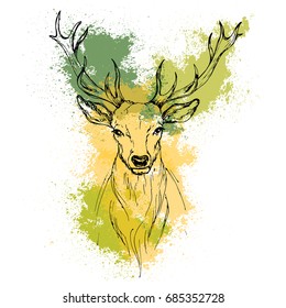 Sketch by pen Noble deer front view on the background of watercolor stains