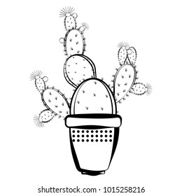 Sketch of a cactus