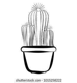 Sketch of a cactus