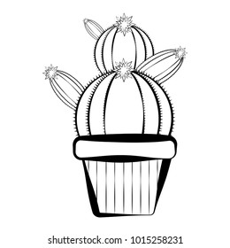 Sketch of a cactus
