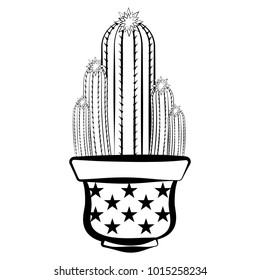 Sketch of a cactus