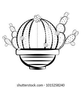 Sketch of a cactus