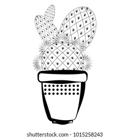 Sketch of a cactus