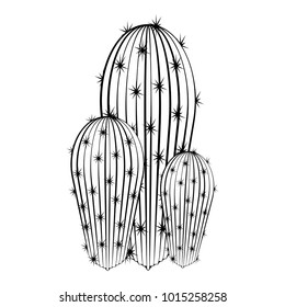 Sketch of a cactus