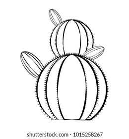 Sketch of a cactus