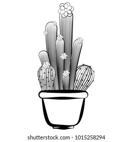 Sketch of a cactus