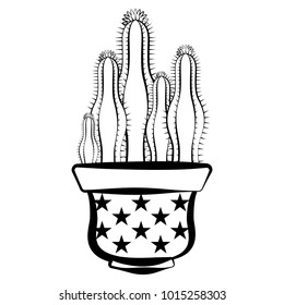 Sketch of a cactus