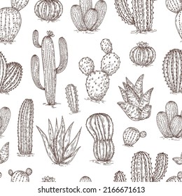 Esbozar un patrón sin fisuras. Agave negra y cactus sobre fondo rosa, plantas de postre mexico de impresión a mano, textura de vector succulento neoterica