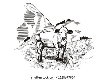 Sketch of a calf standing on a mountain meadow, element in historic Toile de Joyu style
