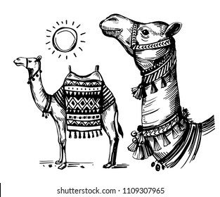 Sketch of camel. Hand drawn illustration converted to vector