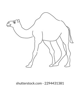 Esbozo de Camel. Ilustración vectorial dibujada a mano.